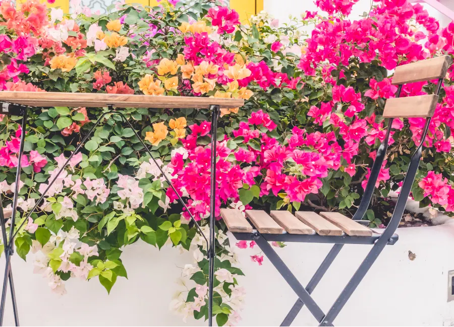 terrasse